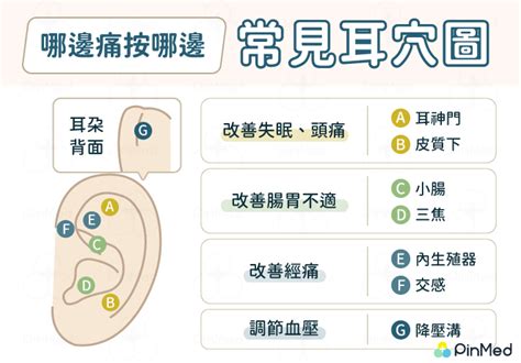 耳穴貼是什麼|余仁生中醫醫療中心